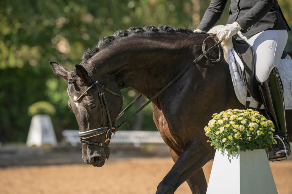 Turnierfotografie, Reitsportfotografie
