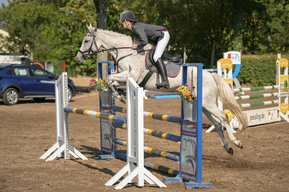 Reitturnier Rudow September 2023 - Schimmel mit Reiterin über blau, gelbem Oxer