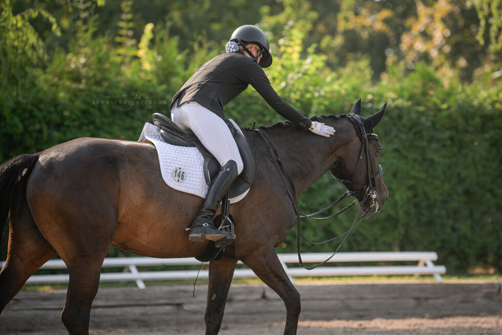 Reitturnier Rudow September 2023 - Brauner mit Kandare. Reiterin lobt ihn nach dem Ritt.