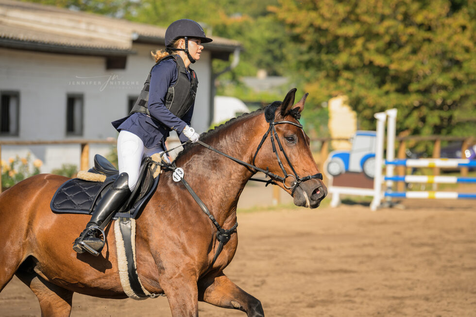 Reitturnier Rudow September 2023 - Portrait von Springpferd und Reiterin