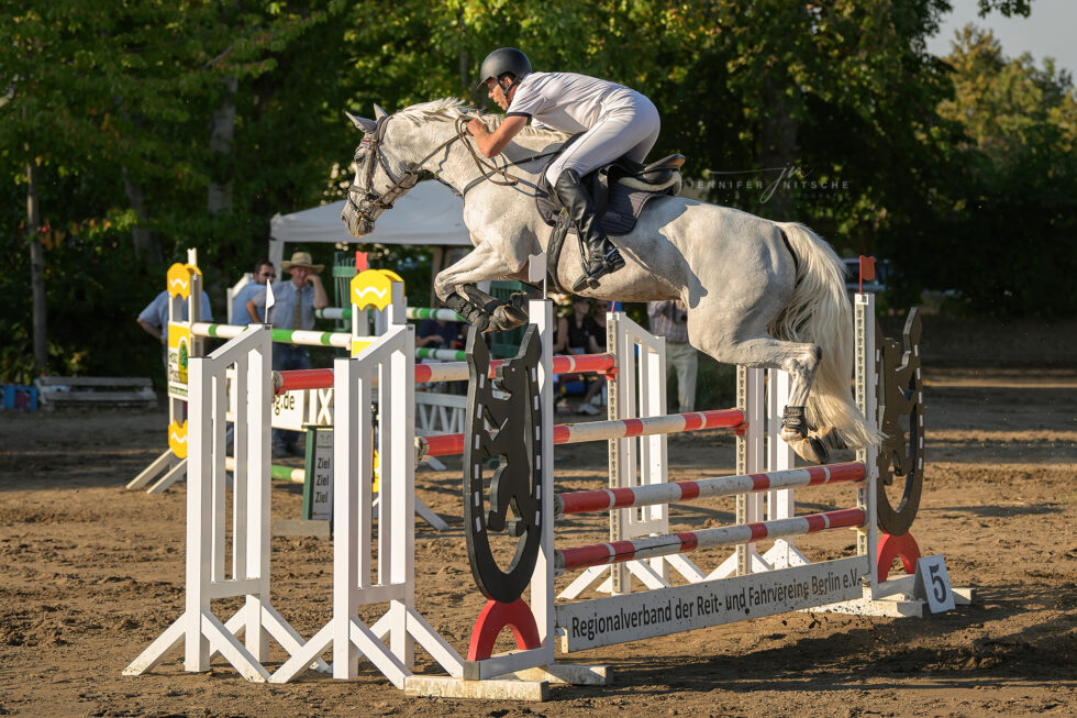 Reitturnier Rudow September 2023 - Foto von einem Schimmel mit seinem Reiter über einer Trippelbarre im S-Springen