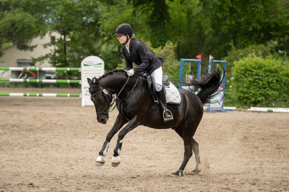 Turnierfotografin, Reitsportfotografie