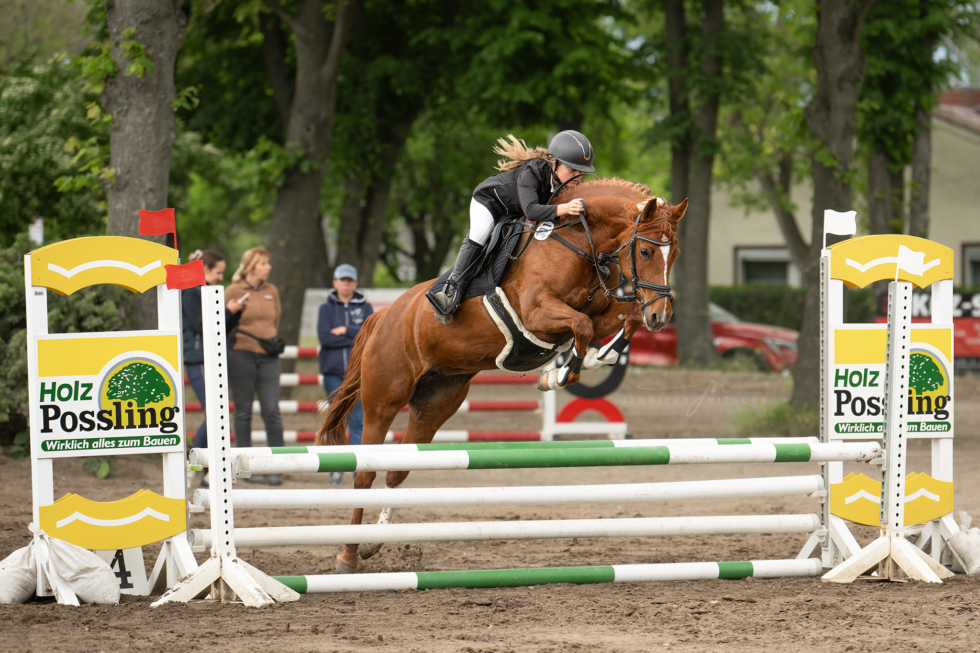 Turnierfotografin, Reitsportfotografie