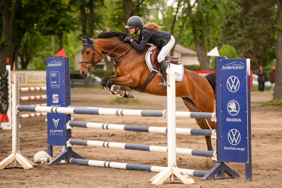 Turnierfotografin, Reitsportfotografie