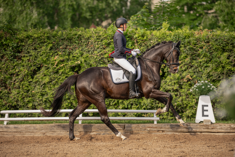 Turnierfotografin, Reitsportfotografie