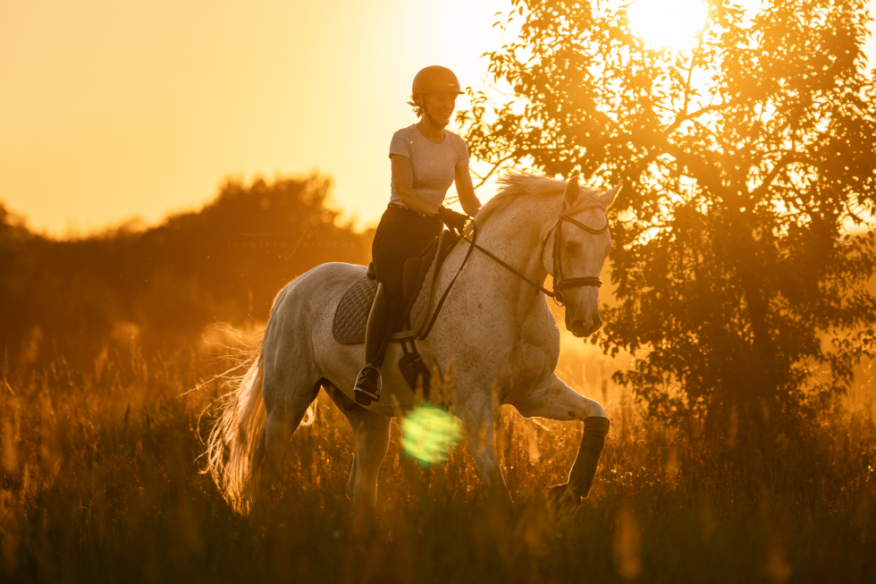 Pferdefotografie, Brandenburg
