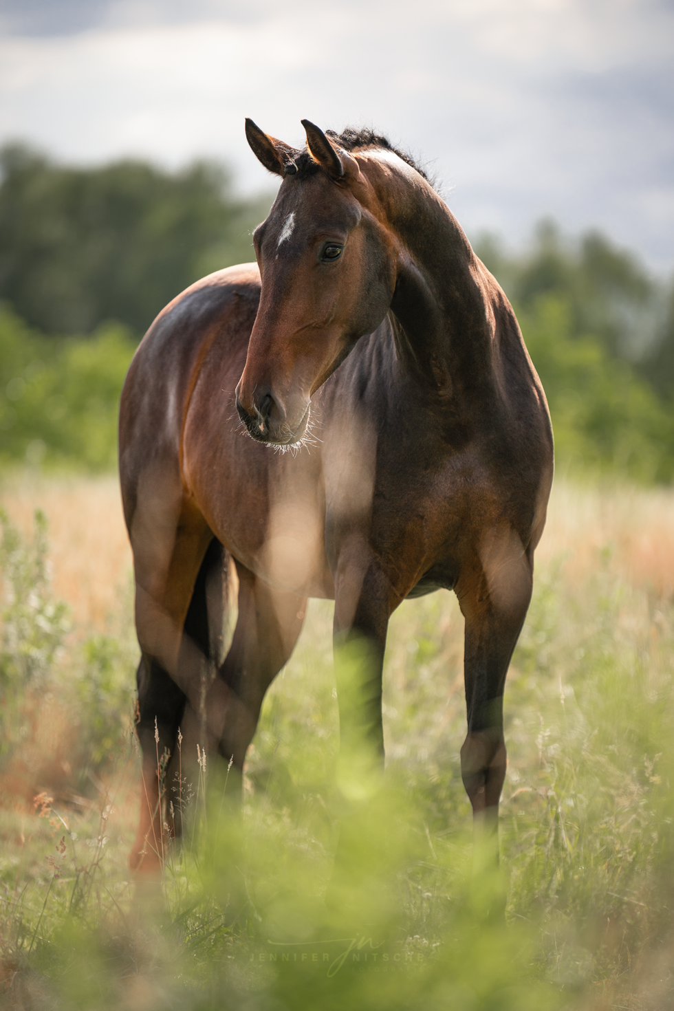 Pferdefotoshooting, Brandenburg