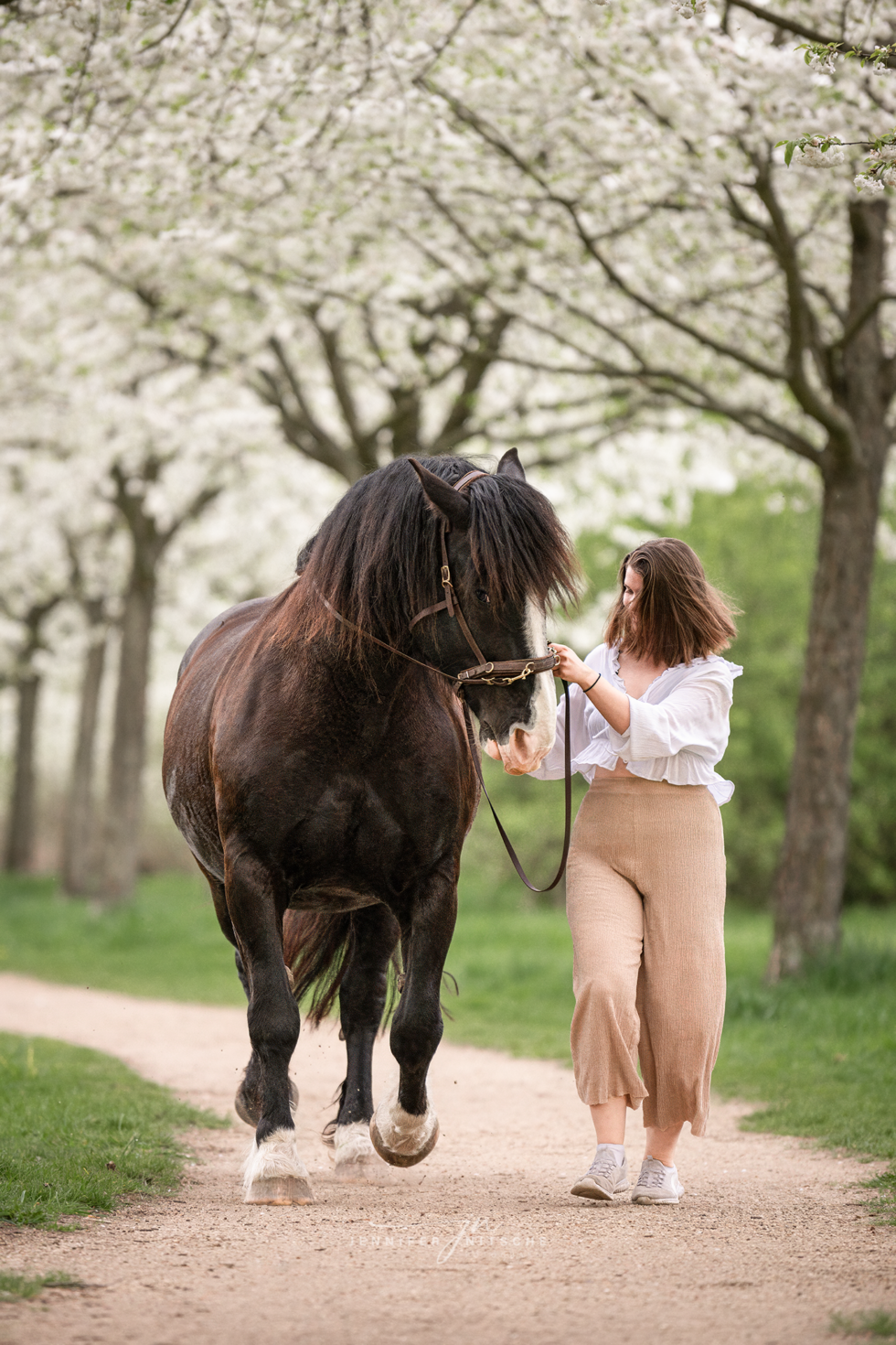 Pferdefotografie, Schönefeld