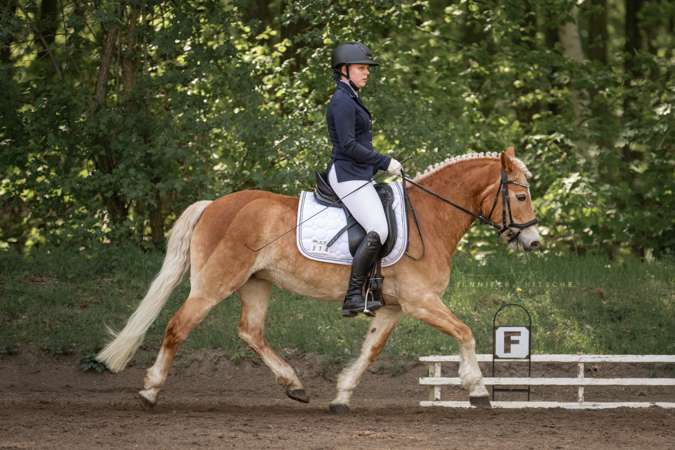 Turnierfotografin, Reitsportfotografie