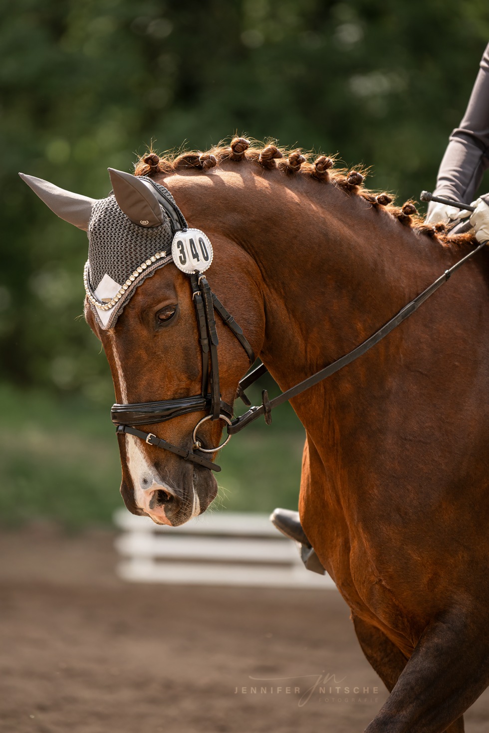Turnierfotografin, Reitsportfotografie