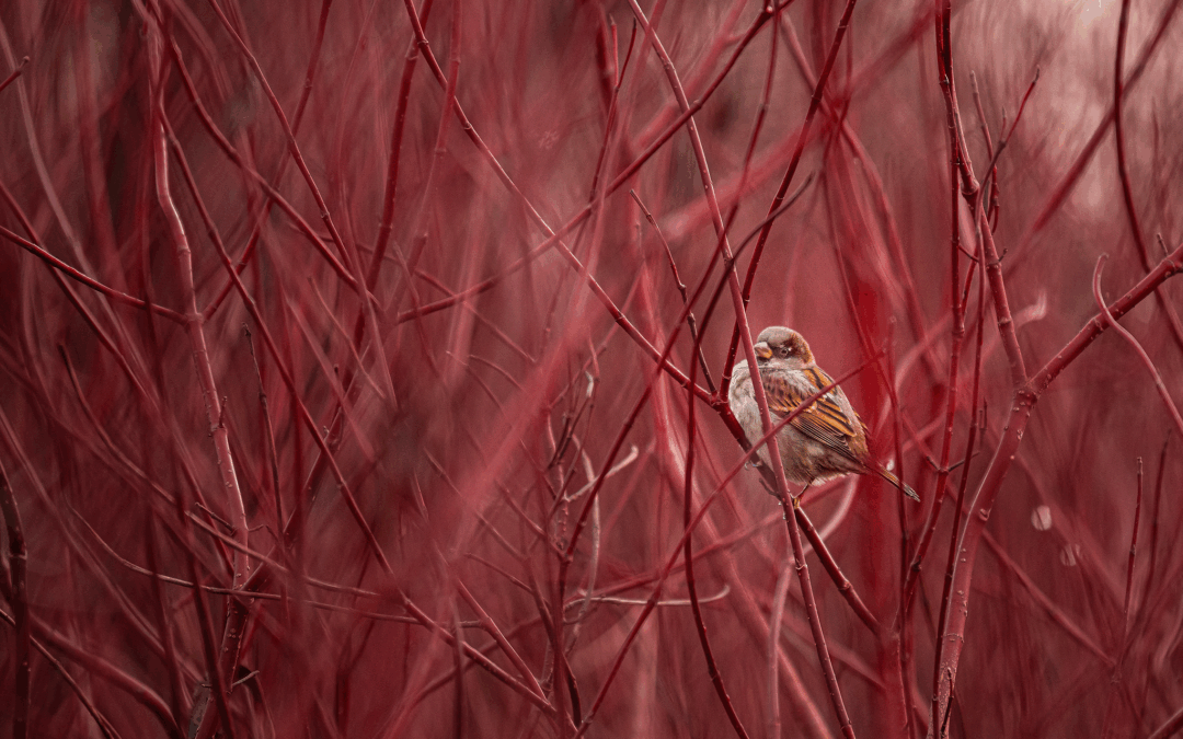 Natur im November