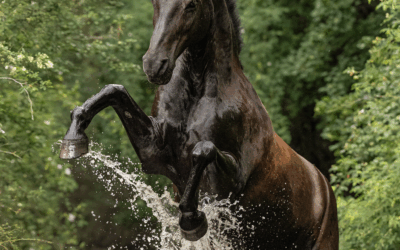 Huzi das Wasserpferd